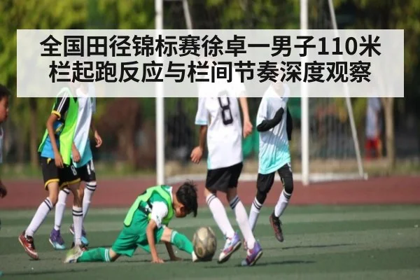全国田径锦标赛徐卓一男子110米栏起跑反应与栏间节奏深度观察 | leyu