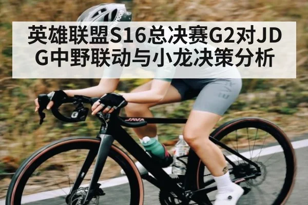 英雄联盟S16总决赛G2对JDG中野联动与小龙决策分析 | leyu